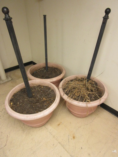 lot 114 image: EXTRA LARGE PLANTER POTS