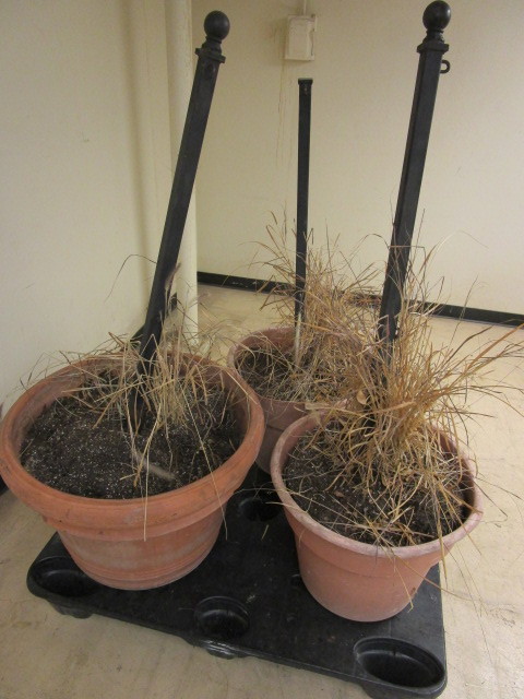 lot 115 image: EXTRA LARGE DECORATIVE PLANTER POTS
