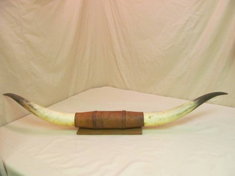 Long Horn Mount