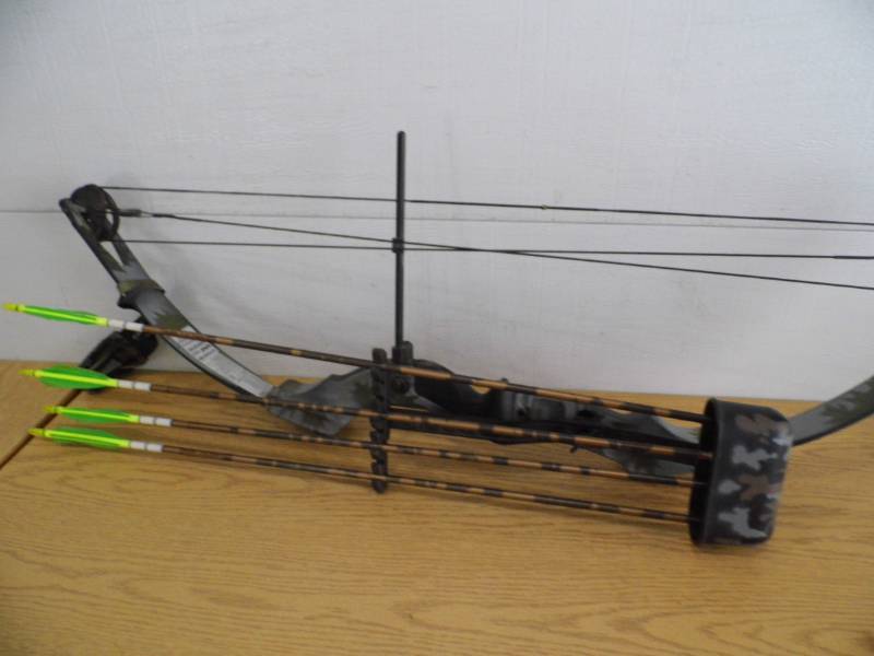 Compound Bow