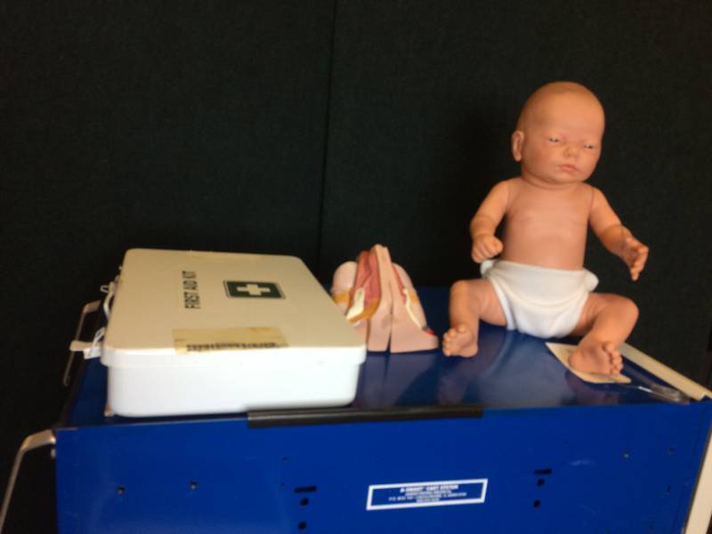 lot 43 image: New Born Baby Doll Plus Anatomy Model & First Aid Box