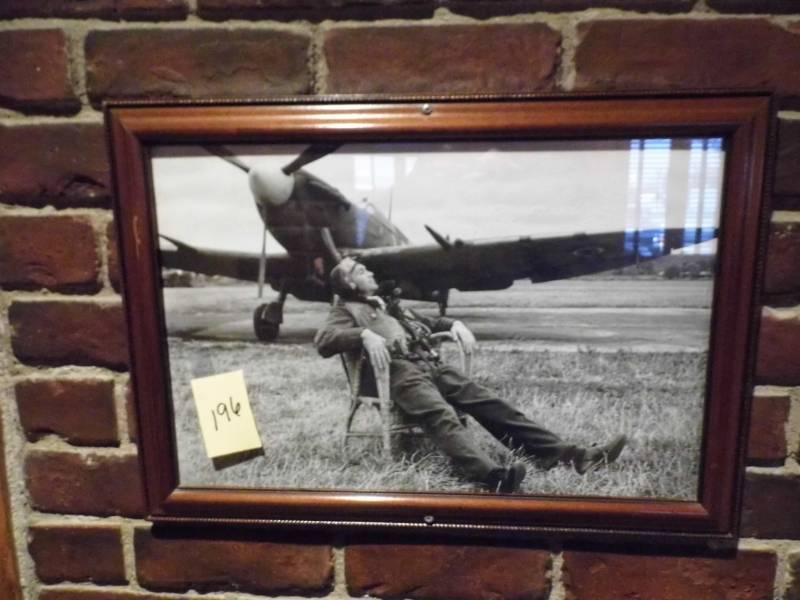 lot 196 image: Pilot Resting Picture