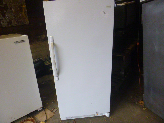 lot 17 image: Electrolux Single Door Freezer