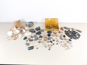 lot 16 image: Large Raw Geode, Rock, and Shell Collection