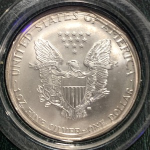 2000 American Silver Eagle Bullion ...