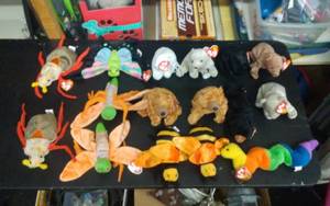 lot 40 image: 16-Beanie Babies