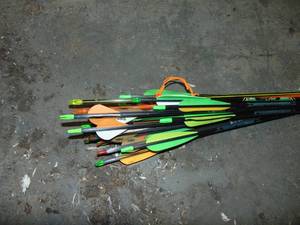 Lot of Arrows
