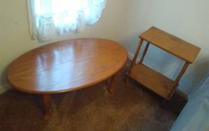 lot 18 image: Oval Coffee Table 42x24x15, 2-Tier Side Table 19x12x24