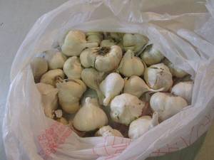 lot 54 image: Bag of Garlic  B-4...