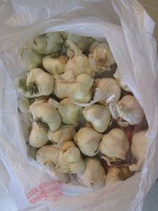 lot 55 image: Bag of Garlic  B-4...