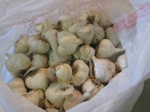 lot 56 image: Bag of Garlic  B-4...