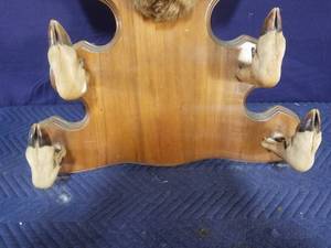 lot 3 image: 8 Point Buck Display