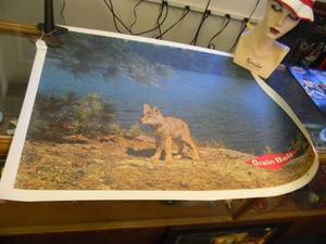 RARE - VINTAGE GRAIN BELT BEER MPLS. BREWING CO. ADVERTISING PRINT - RARE - APPROX 33 BY 27 ON CANVAS TYPE PAPER - SEE PICTURES