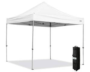 10 X 10 Canopy, Retail $199.99