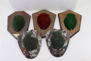 lot 9 image: (5) Used Deer Rack Mounts