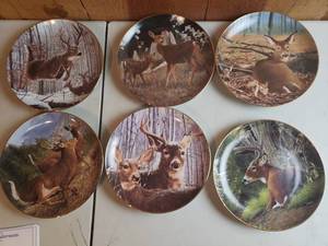 lot 46 image: 11 Bob Travers Collectible Whitetail Deer Plates