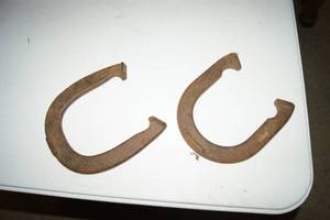 lot 82 image: Horse Shoes