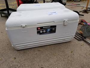 lot 61 image: Igloo Maxcold 150-Quart Chest Cooler