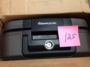 lot 125 image: SentrySafe CHW20121 0.28 cu ft Fireproof Safe and Waterproof Safe with Key Lock- not used