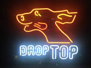 lot 16 image: Drop Top neon dog.