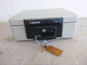 Sentry 1100 Safe