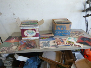 2 Boxes of Albums