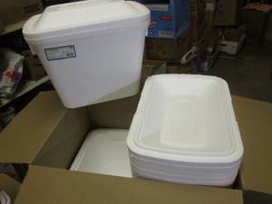 lot 231 image: Case of 12 Foam Coolers  CSB...
