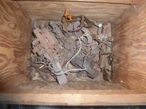 Steel Traps