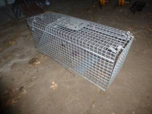 Live Animal Trap
