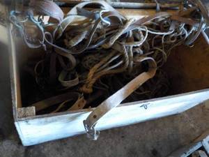 lot 16 image: Wood Box Full Of Horse Supplies...