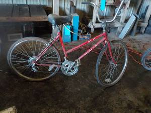 lot 35 image: Galaxy II Vintage Adult Bicycle...