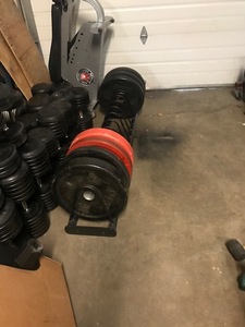 Bumper plates with Storage Rack