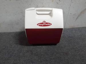 lot 74 image: Igloo Lunch Cooler