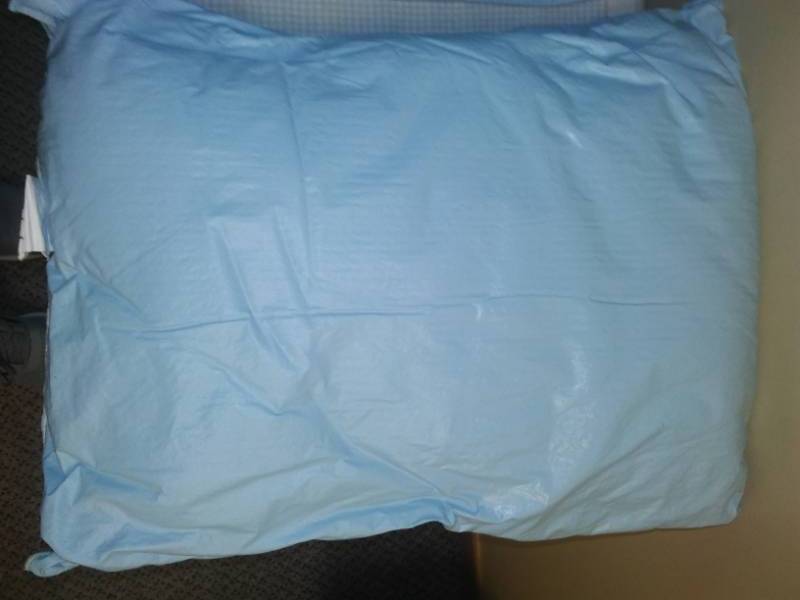 lot 67 image: Four antibacterial Moisture Proof pillows