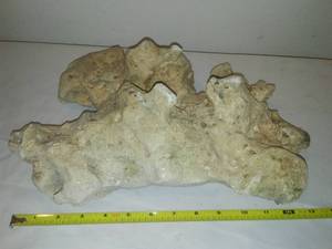 lot 185 image: Aquarium Live Rock, See pictures for dimensions