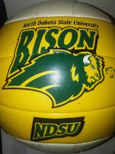 lot 249 image: Outdoor Lot NDSU Bison Volleyball, frisbee, Sleeping bag -like new