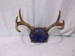 lot 66 image: Deer Rack