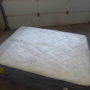 Sealy Response Essentials Faithful Plush Queen Mattress