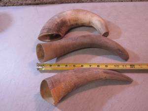 lot 105 image: 3 Bull Horns  RM3...