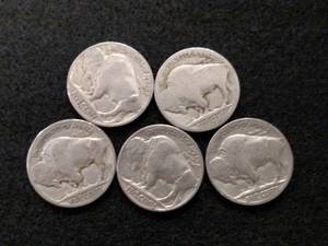 (5) Buffalo Nickels...