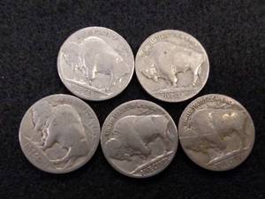 (5) Buffalo Nickels...