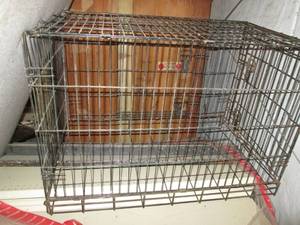 Pet Crate (36 X 22 x 25)