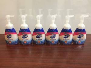Dial Foaming Soap