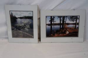 lot 100 image: Pair of Framed Nature Photographs