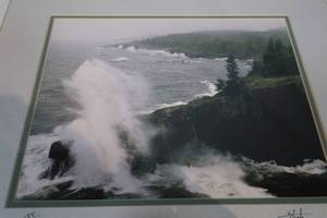 lot 101 image: Pair of Framed Nature Photographs
