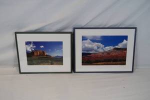 lot 105 image: Pair of Framed Nature Photographs