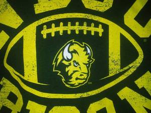 lot 42 image: NDSU  BISON  Mens T - shirt, Medium, Gildan