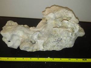 lot 55 image: Aquarium Live Rock