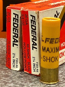 20-Gauge Slugs & Shotshells