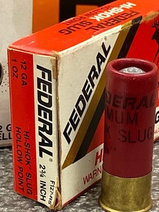 12-Gauge Shotgun Slugs & Shotshells